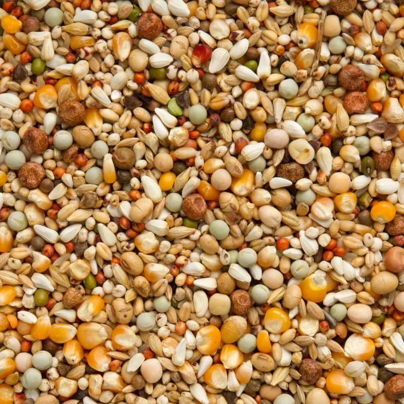 7/43 Elite Enzymix MS Extra Structurel 20kg - Beyers 4 7/43 Elite Enzymix MS Extra Structurel 20kg - Beyers – Image 2