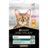 Adult Renal Plus - Riche En Poulet Et En Riz 3kg - Pro Plan -Promos Naturalis Pets Boutique adult renal plus riche en poulet et en riz 3kg pro plan 12398591 purina adult renal plus riche en poulet et en riz 3kg pro plan