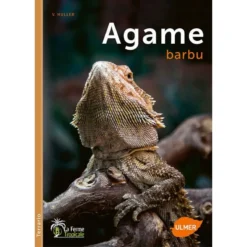 Agame Barbu - Veronika MULLER