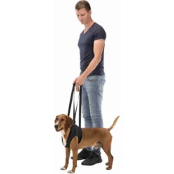 Aide à La Marche L-XL (jusqu'à 50kg) 75-85cm - Trixie -Promos Naturalis Pets Boutique aide a la marche l xl jusqua 50kg 75 85cm trixie 19408 trixie aide a la marche facilite le transport de la partie du corps qui n 2