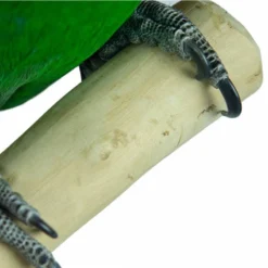 Aire De Jeux En Bois De Java Avec Socle - Large - Back Zoo Nature -Promos Naturalis Pets Boutique aire de jeux en bois de java avec socle large back zoo nature zf1114 back zoo nature aire de jeux en bois de java avec socle et 1 2