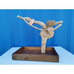 Aire De Jeux En Bois De Java Avec Socle - Small - Back Zoo Nature -Promos Naturalis Pets Boutique aire de jeux en bois de java avec socle small back zoo nature zf1112 back zoo nature aire de jeux en bois de java avec socle et 1 2