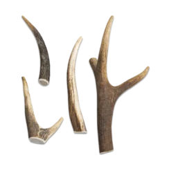 All Nature Bois De Cerf M/76-150gr - Jack And Vanilla