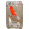 Alpiste Ou Millet Plat 20kg - Ornibird -Promos Naturalis Pets Boutique alpiste ou millet plat 20kg ornibird 700135 private label ornibird lalpiste est une graminee plante annuelle pouvant atteindre 1