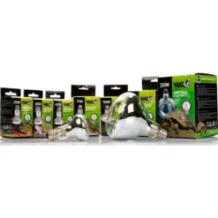 Ampoule Chauffante 250w - Giganterra