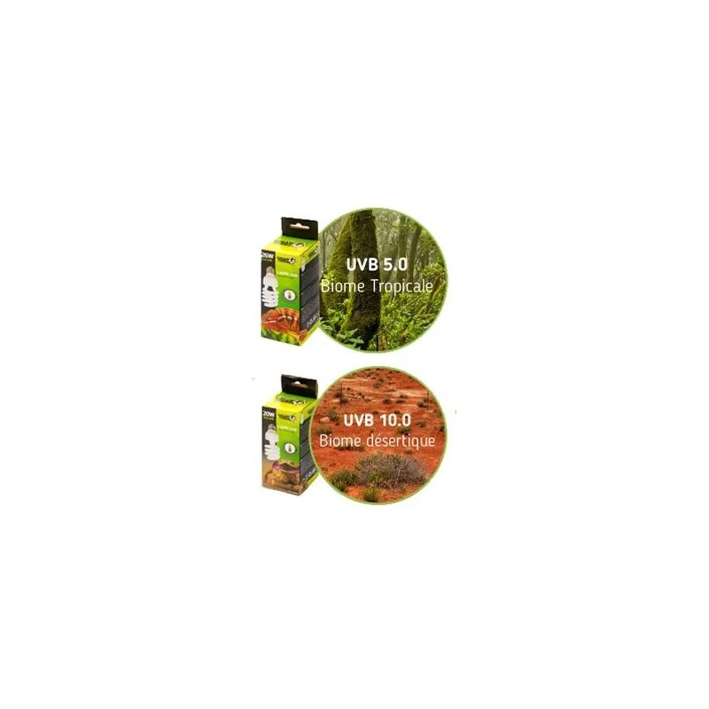 Ampoule UVB 13w/5.0 - Giganterra 4 Ampoule UVB 13w/5.0 - Giganterra – Image 2