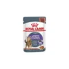 Appetite Control Care 12x85gr - Royal Canin -Promos Naturalis Pets Boutique appetite control care 12x85gr royal canin 1259867 12x royal canin aliment complet et equilibre pour chats adultes recommande pou