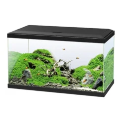 Aquarium 60 Led CF80 Noir 60x30x41cm - Ciano