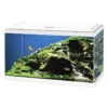 Aquarium Aqua 60 Led Bio CF150 Blanc 60x30x41cm - Ciano -Promos Naturalis Pets Boutique aquarium aqua 60 led bio cf150 blanc 60x30x41cm ciano 77540227 ciano descriptionun aquarium dote dun equipement complet pour dec