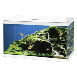 Aquarium Aqua 60 Led Bio CF150 Blanc 60x30x41cm - Ciano