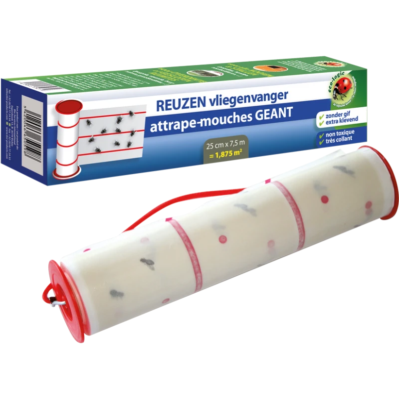 Attrape Mouches Géant - BSI 3 Attrape Mouches Géant - BSI