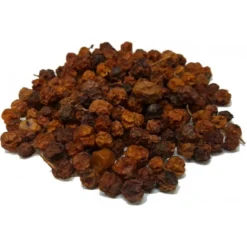 Baie De Sorbier Des Oiseleurs Au Kg - Ornibird -Promos Naturalis Pets Boutique baie de sorbier des oiseleurs au kg ornibird 103041250 kg grizo baie du sorbier en fruit seche dont les becs crochus indigenes e 3