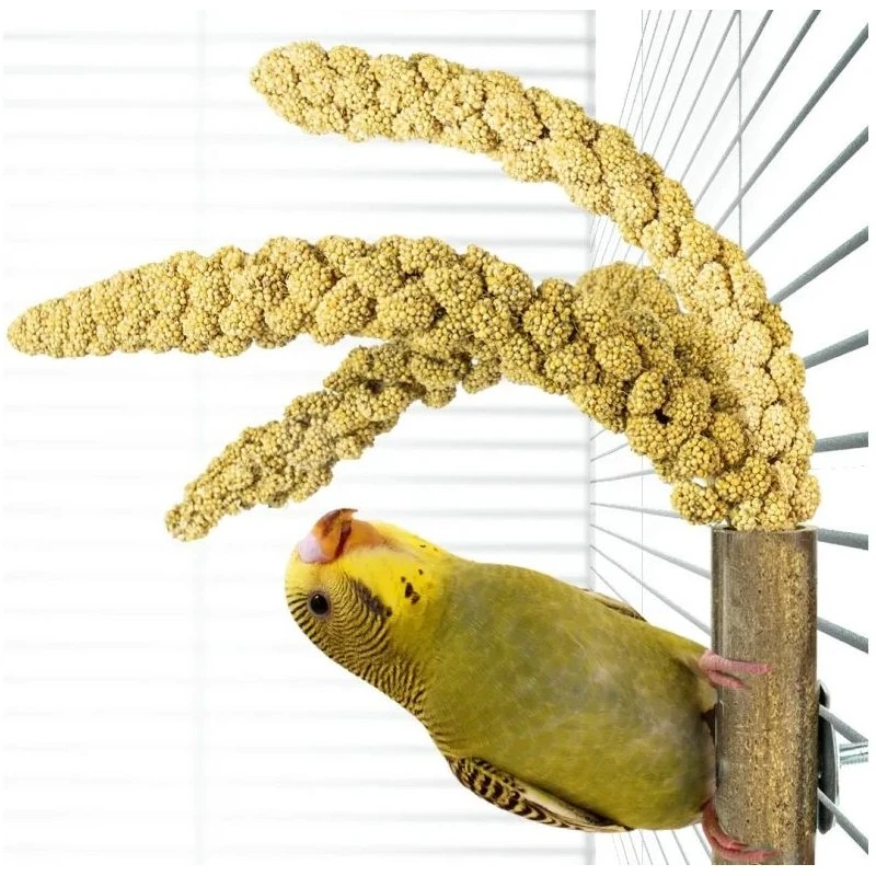 Bambou Grass Keeper +/-20cm - Back Zoo Nature 4 Bambou Grass Keeper +/-20cm - Back Zoo Nature – Image 2