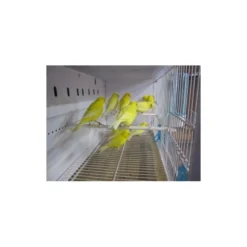 Batterie De 12 Cages 64x30x34 Modèle Champion- New Canariz -Promos Naturalis Pets Boutique batterie de 12 cages 64x30x34 modele champion new canariz 3000 new canariz livree avec un systeme de rouleaux de papier comme fo 2