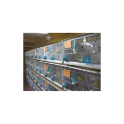 Batterie De 12 Cages 64x30x34 Modèle Champion- New Canariz -Promos Naturalis Pets Boutique batterie de 12 cages 64x30x34 modele champion new canariz 3000 new canariz livree avec un systeme de rouleaux de papier comme fo 5