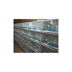 Batterie De 12 Cages 64x30x34 Modèle Champion- New Canariz -Promos Naturalis Pets Boutique batterie de 12 cages 64x30x34 modele champion new canariz 3000 new canariz livree avec un systeme de rouleaux de papier comme fo 8