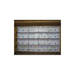 Batterie De 12 Cages 64x30x34 Modèle Champion- New Canariz -Promos Naturalis Pets Boutique batterie de 12 cages 64x30x34 modele champion new canariz 3000 new canariz livree avec un systeme de rouleaux de papier comme fo 9