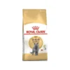 British Shorthair Adult 2kg - Royal Canin 1 British Shorthair Adult 2kg - Royal Canin -Promos Naturalis Pets Boutique british shorthair adult 2kg royal canin 1250922 royal canin aliment complet et equilibre pour chats special chats adultes britis
