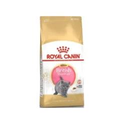 British Shorthair Kitten 2kg - Royal Canin