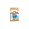 Bulldog Puppy 3kg - Royal Canin -Promos Naturalis Pets Boutique bulldog puppy 3kg royal canin 1239333 royal canin aliment completes pour chiot bouledogue moins de 12 mois pendant la periode se