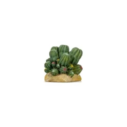 Cactus 2 Résine 12x10,5x11cm - Giganterra