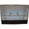 Cage Exposition Caille Noir En PVC -Promos Naturalis Pets Boutique cage exposition caille noir en pvc 87212611 ost belgium cage dexposition pour caille avec facade noire entierement en plastique