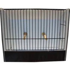 Cage Exposition Canari Noir En PVC