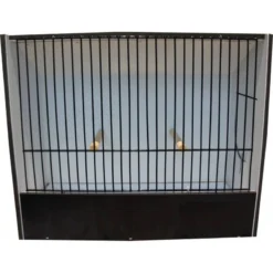 Cage Exposition Indigène Noir 18 Cm En PVC