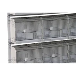 Cage Exposition Plastique 36x17x30cm - 2G-R -Promos Naturalis Pets Boutique cage exposition plastique 36x17x30cm 2g r art 315fn3 2g r cage de preparation avec facade noire 1 porte centrale avec ressort et 3
