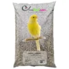 Canaris - Ornibird, Mélange Pour Canaris 20kg -Promos Naturalis Pets Boutique canaris ornibird melange pour canaris 20kg 700120 private label ornibird melange de graines pour canaris composition graines dal