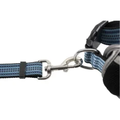 Ceinture Ventrale Avec Laisse 140x4x13cm - Duvo+ -Promos Naturalis Pets Boutique ceinture ventrale avec laisse 140x4x13cm duvo 11804 duvo specifications ceinture de sport confortable en nylon et neoprene des m 1