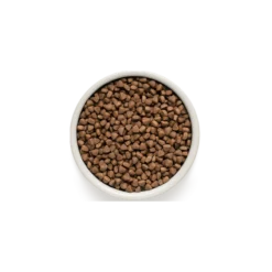 Chat Indoor - Agneau Et Dinde 2kg - Grandorf 5 Chat Indoor - Agneau Et Dinde 2kg - Grandorf -Promos Naturalis Pets Boutique chat indoor agneau et dinde 2kg grandorf gdcd0202 grandorf pour les chats avec une activite normale dun an et plusune quantite m 1