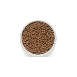 Chat Sterilized - 4 Viandes 2kg - Grandorf -Promos Naturalis Pets Boutique chat sterilized 4 viandes 2kg grandorf gdcd0602 grandorf pour les chats sterilises ou ages dun an et plusune teneur reduite en g 1