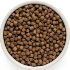 Chien Adult Mini Races - Agneau Et Dinde 3kg - Grandorf -Promos Naturalis Pets Boutique chien adult mini races agneau et dinde 3kg grandorf gddd0303 grandorf pour les chiens de toutes races dun an ou plusla teneur el 1