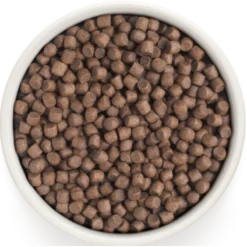 Chien Adult Mini Races - Dinde 3kg - Grandorf -Promos Naturalis Pets Boutique chien adult mini races dinde 3kg grandorf gddd0403 grandorf une formule speciale pour les animaux a digestion sensible qui est b 1