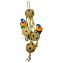 Coconut Chain XL 70cm - Back Zoo Nature