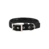Collier Basic Confort Noir 40mm 70cm - Wouapy -Promos Naturalis Pets Boutique collier basic confort noir 40mm 70cm wouapy 312533000 wouapy collier basic confort noir 40mm 70cm wouapy