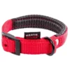 Collier Confort 25mm-65cm Rouge - Martin Sellier 2 Collier Confort 25mm-65cm Rouge - Martin Sellier -Promos Naturalis Pets Boutique collier confort 25mm 65cm rouge martin sellier ms121831 martin sellier