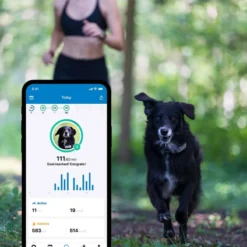 Collier GPS Pour Chiens Tractive GPS DOG 4 Café -Promos Naturalis Pets Boutique collier gps pour chiens tractive gps dog 4 cafe trnja4 tractive collier gps pour chienstractive gps dog 4 cafe localisation gps 1 1