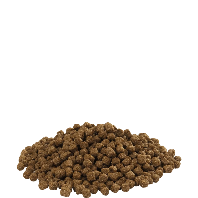 Country's Best FLOATING SEA DUCK 15kg - Granulé (4mm) Flottant Pour Canards Marins Dès 4ème Semaine 4 Country's Best FLOATING SEA DUCK 15kg - Granulé (4mm) Flottant Pour Canards Marins Dès 4ème Semaine – Image 2