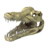Crocodile Head S-13,5x6,5x7,5cm - Aqua Della 1 Crocodile Head S-13,5x6,5x7,5cm - Aqua Della -Promos Naturalis Pets Boutique crocodile head s 135x65x75cm aqua della 234 426500 aqua della specifications fabrique en resine de polyester de qualite non toxi
