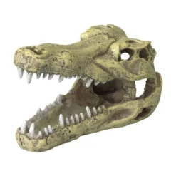 Crocodile Head S-13,5x6,5x7,5cm - Aqua Della