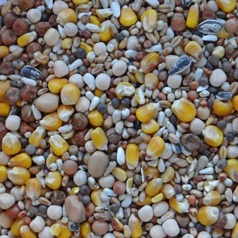 Elevage Jaune WM 20kg - Witte Molen 4 Elevage Jaune WM 20kg - Witte Molen – Image 2