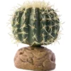 Exo Cactus Oursin S - Exo Terra 1 Exo Cactus Oursin S - Exo Terra -Promos Naturalis Pets Boutique exo cactus oursin s exo terra 33 pt2980 exo terra exo cactus oursin s exo terra