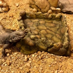 Exo Coin Gamelle Eau XL - Exo Terra -Promos Naturalis Pets Boutique exo coin gamelle eau xl exo terra 33 pt2829 exo terra exo coin gamelle eau xl exo terra 2