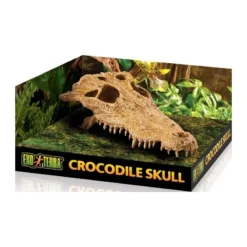 Exo Crâne Crocodile 23x12x7,5cm - Exo Terra