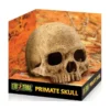 Exo Crâne Primate 17x13,5x11,5cm - Exo Terra -Promos Naturalis Pets Boutique exo crane primate 17x135x115cm exo terra 33 pt2855 exo terra exo crane primate 17x135x115cm exo terra