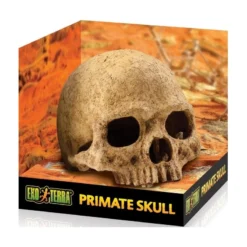 Exo Crâne Primate 17x13,5x11,5cm - Exo Terra