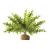 Exo Fougère De Boston S - Exo Terra 2 Exo Fougère De Boston S - Exo Terra -Promos Naturalis Pets Boutique exo fougere de boston s exo terra 33 pt2990 exo terra exo fougere de boston s exo terra