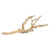 Exo Pied De Vigne Sablé M-45cm - Exo Terra -Promos Naturalis Pets Boutique exo pied de vigne sable m 45cm exo terra 33 pt3076 exo terra exo pied de vigne sable m 45cm exo terra